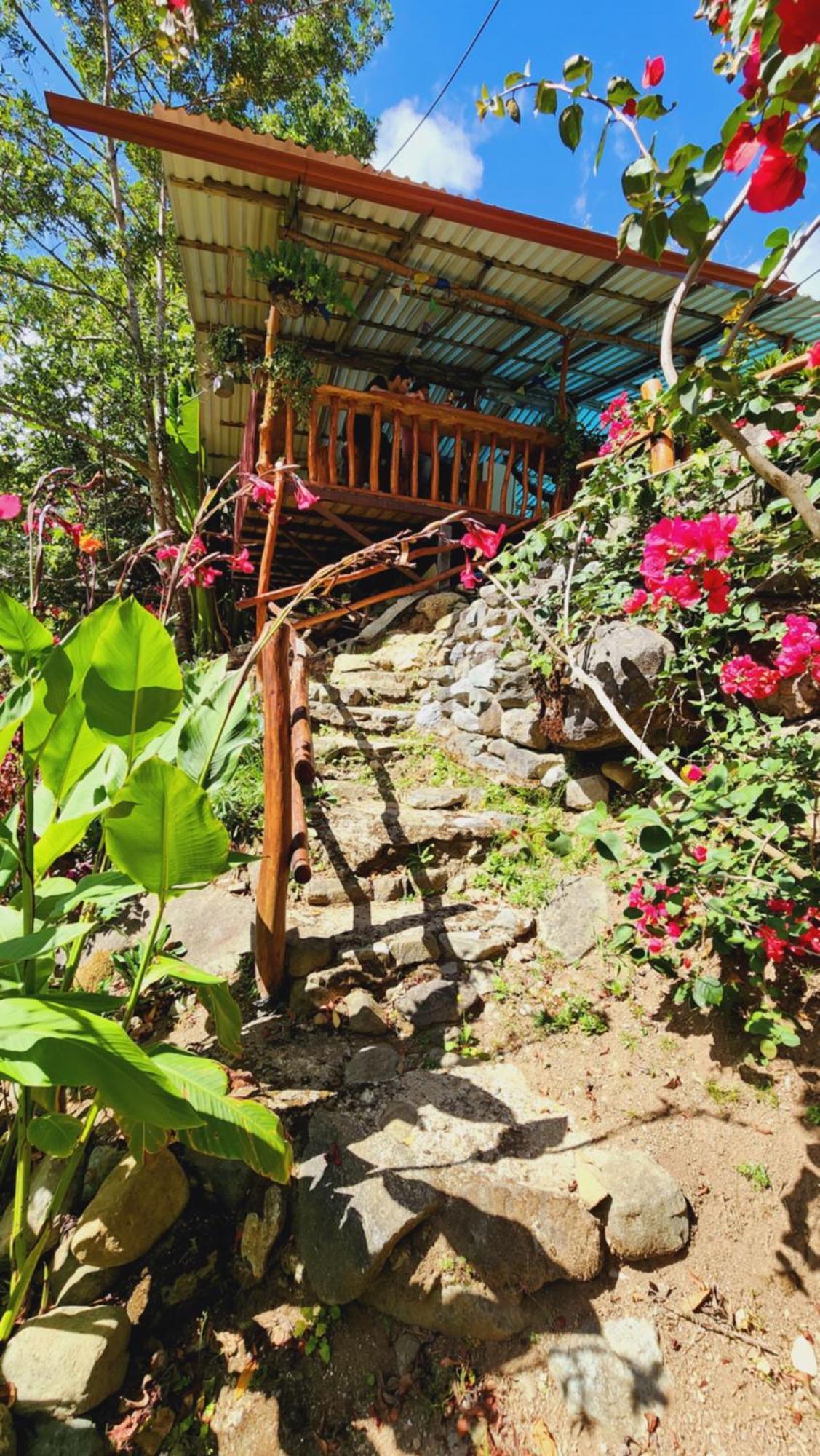 Hospedajes Richie Eco Camp Providencia エクステリア 写真