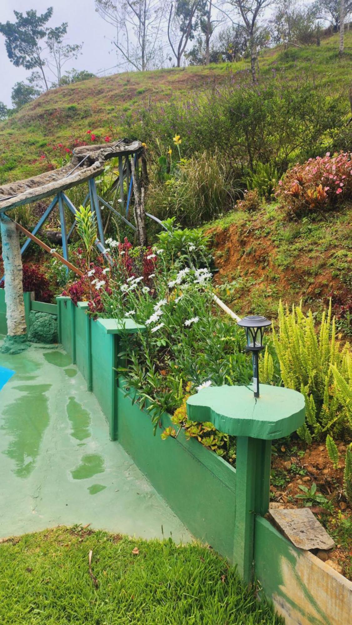 Hospedajes Richie Eco Camp Providencia エクステリア 写真