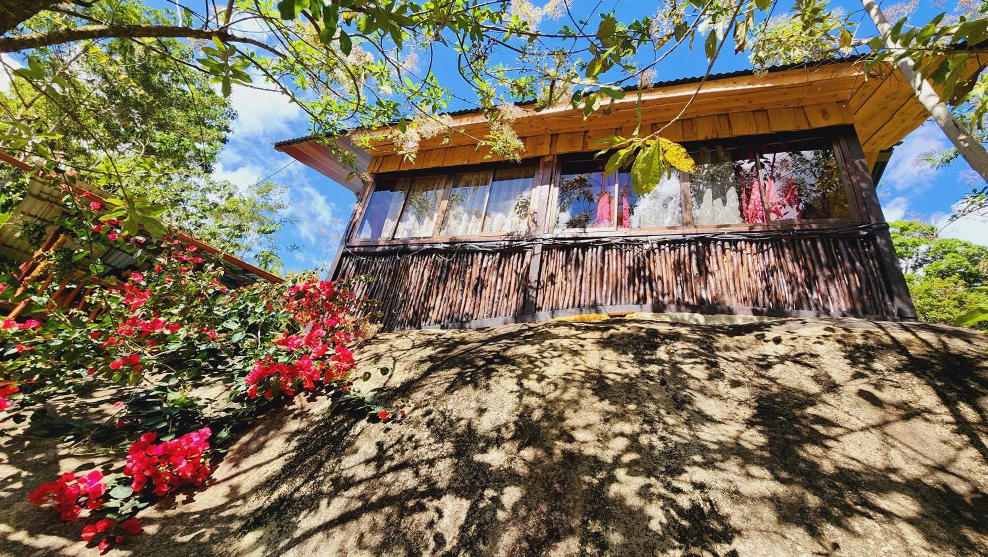 Hospedajes Richie Eco Camp Providencia エクステリア 写真