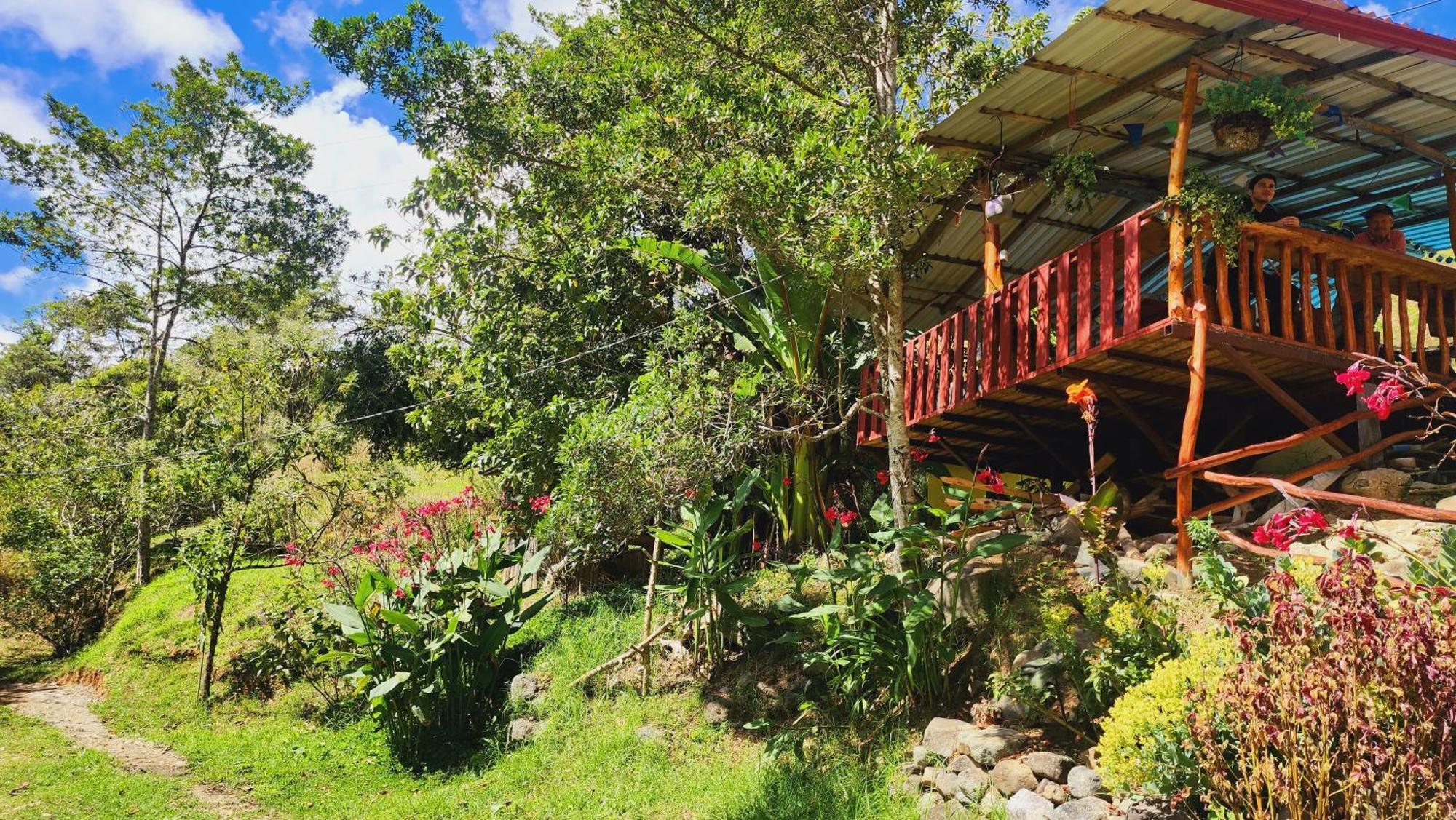 Hospedajes Richie Eco Camp Providencia エクステリア 写真