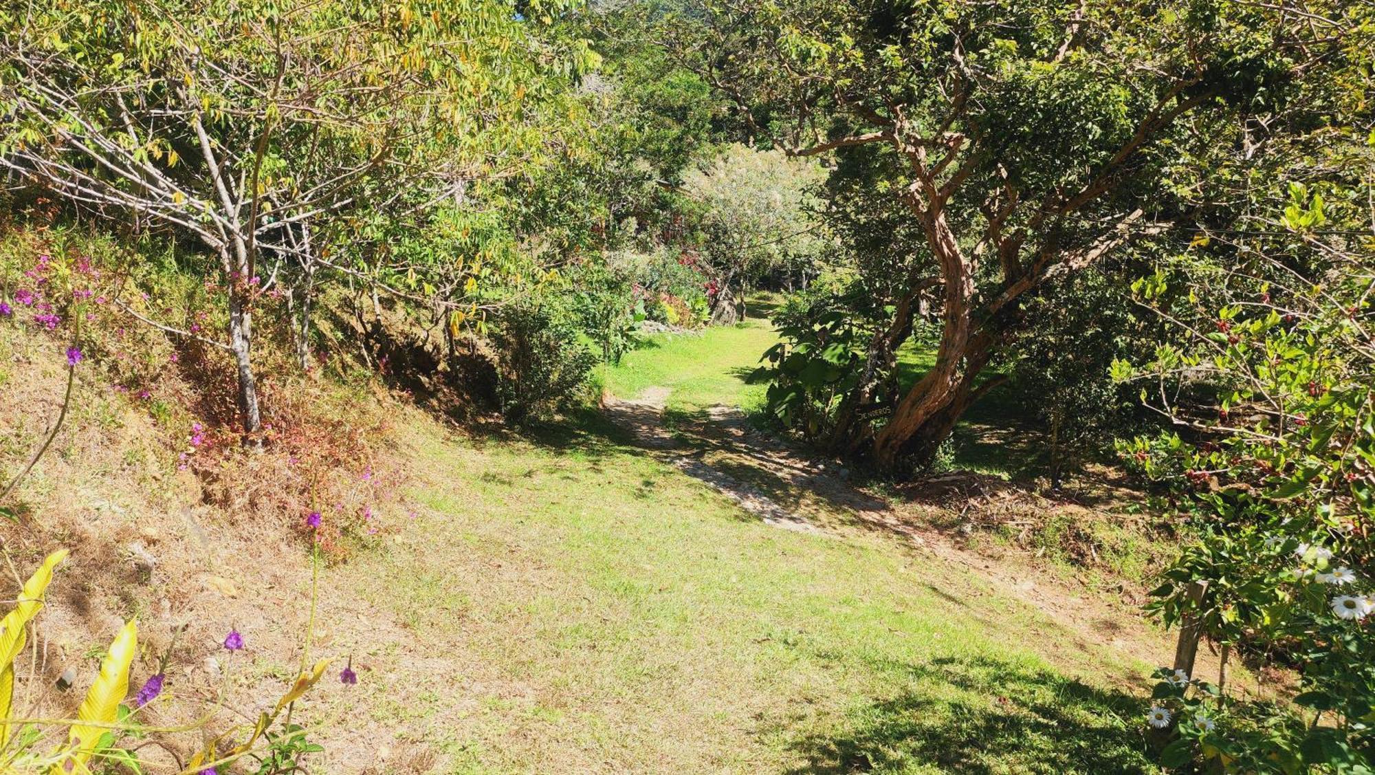Hospedajes Richie Eco Camp Providencia エクステリア 写真