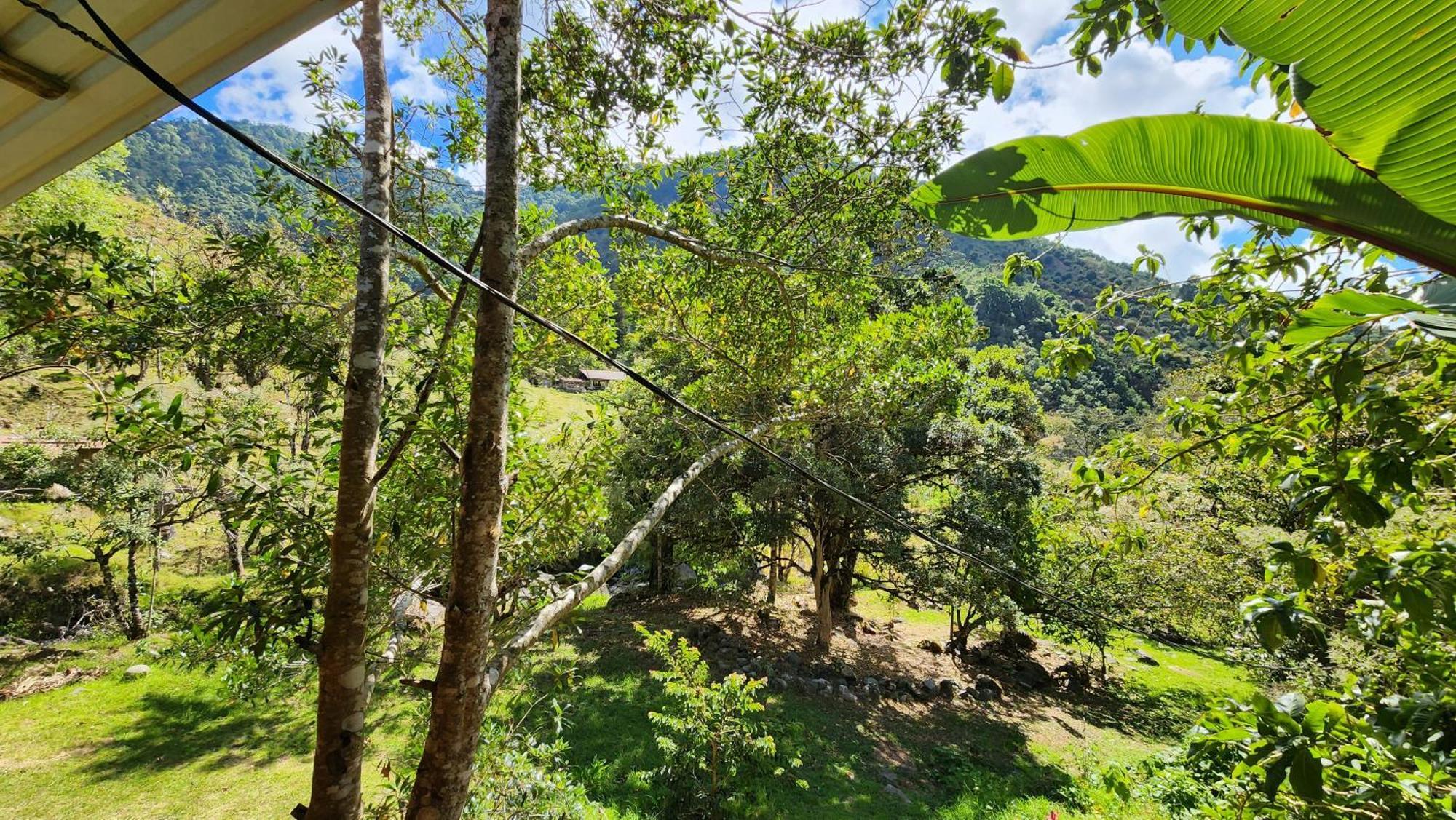 Hospedajes Richie Eco Camp Providencia エクステリア 写真