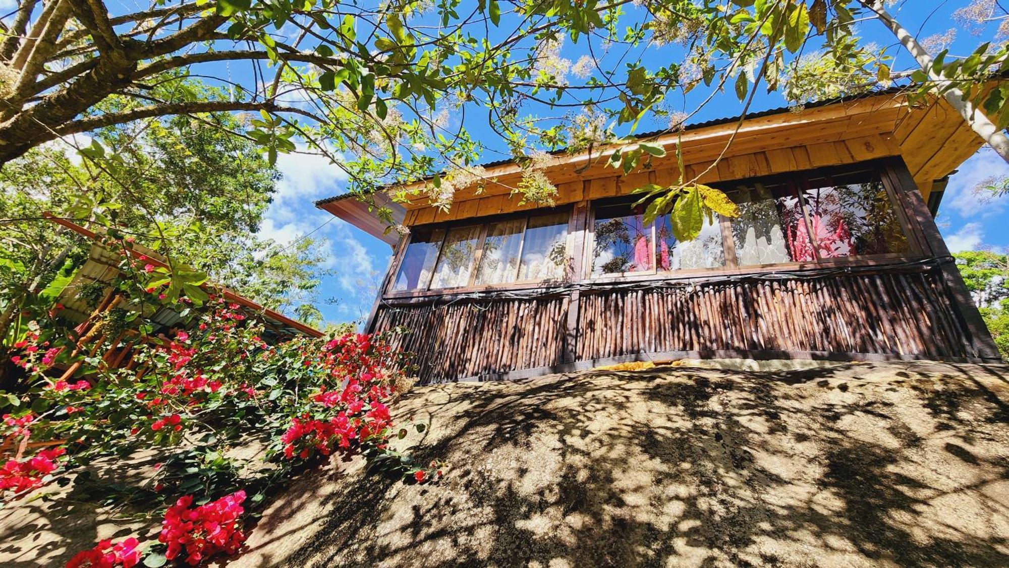 Hospedajes Richie Eco Camp Providencia エクステリア 写真